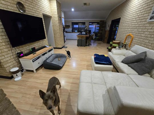 Jane Brook - Photo 1