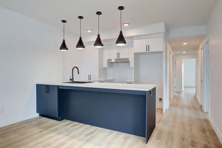 65, rue Michel-Robidoux #202, East-Angus - Photo 5