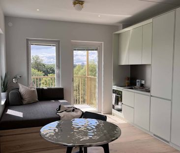 Jyllandsgatan, Kista - Photo 4