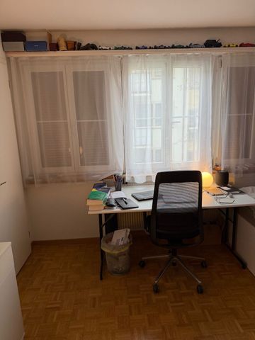 ONE-ROOM APARTMENT IN ZURICH – DISTRICT 1 NIEDERDORF, FURNISHED, TEMPORARY - Photo 3