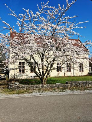 Boerderij te huur - Photo 1