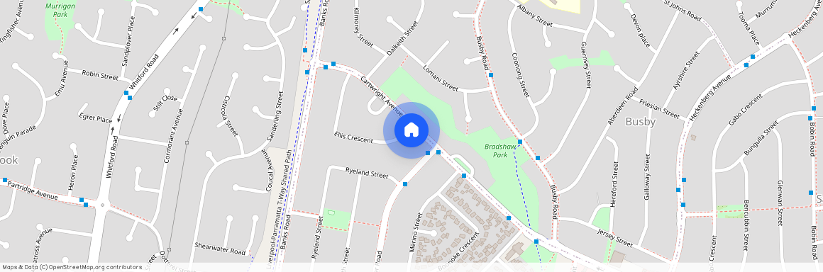 38 Cartwright Avenue, NSW 2168, Miller