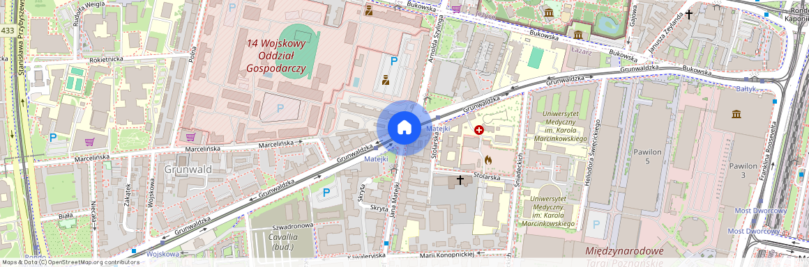 Grunwaldzka/Matejki, Grunwald, Grunwald, Poznań, wielkopolskie