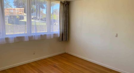 A Little Gem - Photo 4