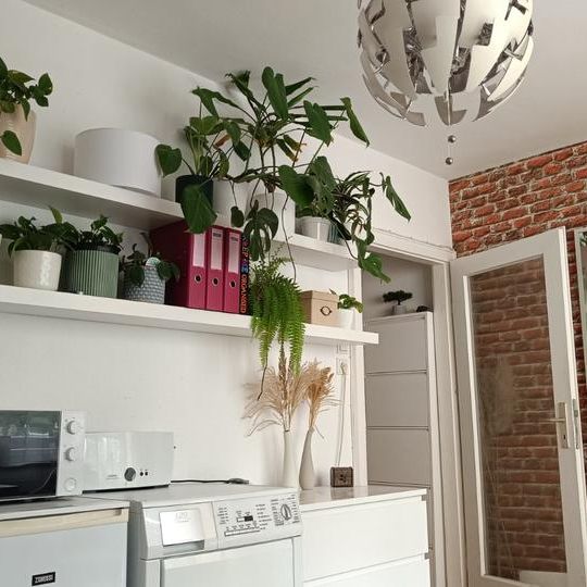 Gemütliche möblierte Wohnung zur Zwischenmiete in top Lage - Photo 1