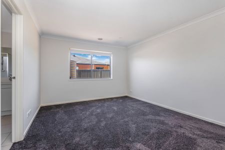 45 Eucalyptus Street, Jackass Flat VIC 3556 - House For Rent | Domain - Photo 4