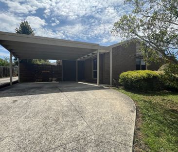 Freshly Renovated 3 Bedroom Home in Court Location - Photo 3