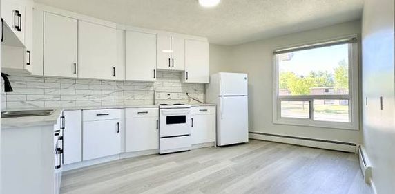 Brand new 3 bed 2 bath spacious apartment, steps to U o C - Photo 2