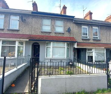 44 Tandragee Road, Portadown, BT62 3BQ - Photo 6