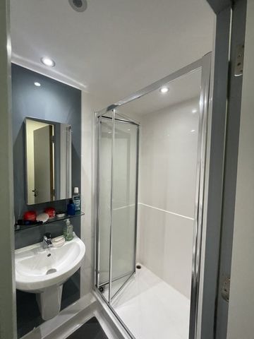 Studio Flat, Lancaster St, B4 - Photo 4