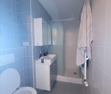 A louer F2 COLMAR - Photo 4