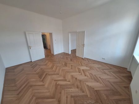 SÜSSE RUHIGE Paar- oder Singlewohnung - CLEMENS HOFBAUER PLATZ unbefristet - Photo 3