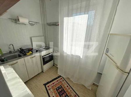 Garsoniera 30 mp, pet friendly, Brazda lui Novac - Fotografie 5
