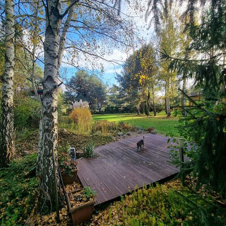 Dom z piękną działką 3000m2, Wielgowo - Zdjęcie 5