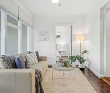 Solar Panels // Save on Power and Pet Friendly - Photo 3