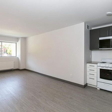 1 CH - 1 SDB - Outremont près Laurier - $1,530 /mo - Photo 3