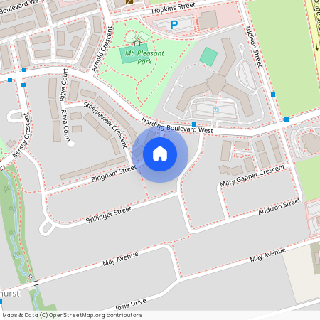 19 Bingham Street Unit# Basement, Richmond Hill