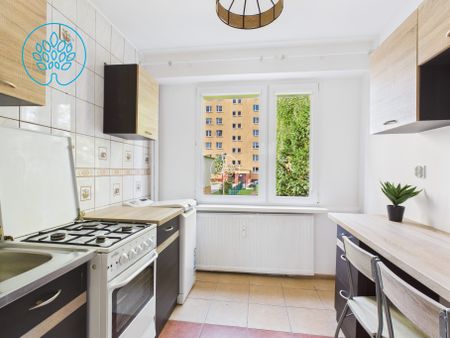 Dwupokojowe mieszkania na wynajem - Zdjęcie 5