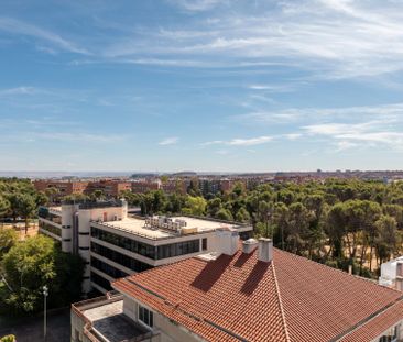 Piso de alquiler en Calle de Juan Ignacio Luca de Tena, 28, Salvador - Photo 1