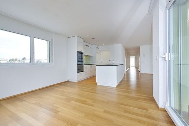 Large attic apartment with terrace (151 m²) - Photo 1