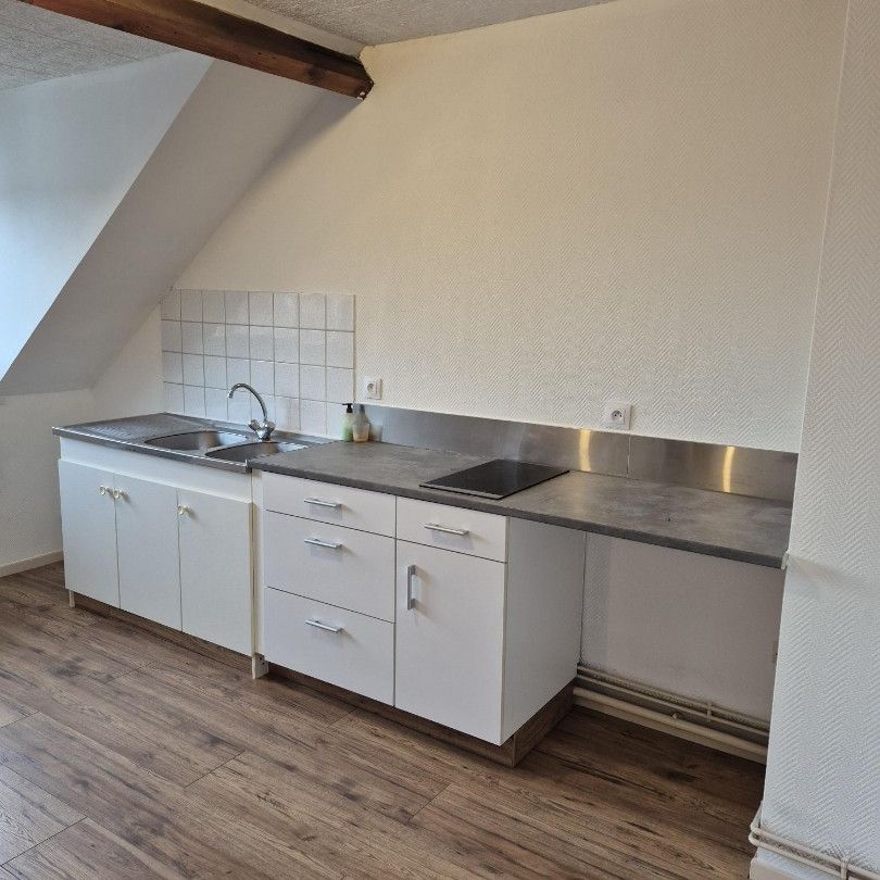 Location Appartement 2 pièces 48m² HAZEBROUCK 59190 - Photo 1