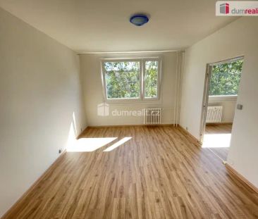 Pronájem bytu 2+kk Jílové 36 m - Fotografie 3
