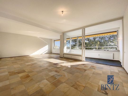 Location Appartement 5 pièces 163m² STRASBOURG 67000 - Photo 1