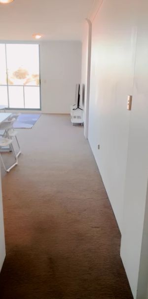 805 Anzac Parade, Sydney - Photo 2