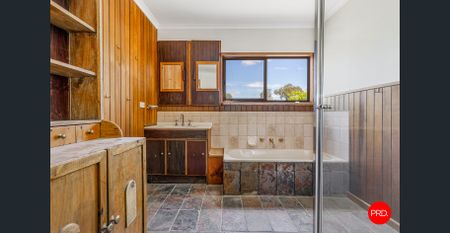 Charming Family Home with Spacious Yard and Outdoor Living - Photo 3