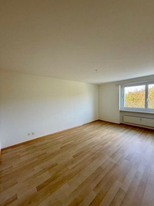 Wir suchen genau Sie - Foto 1