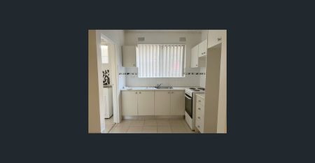 Renovated Ground Floor Unit - Photo 3