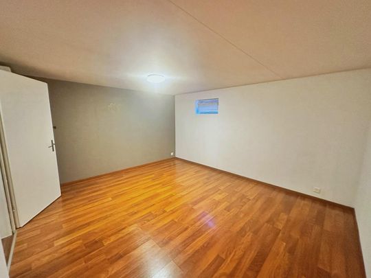 Charming house for rent in Chéserex - Photo 1