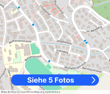 TRAUM IN GEHOBENEM STANDARD - Foto 1