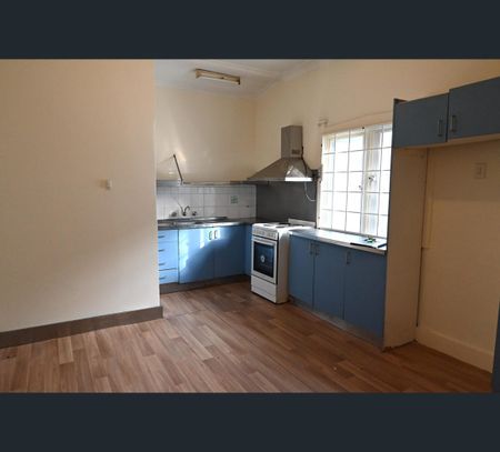 13 Telopea Ave, Homebush West, NSW 2140 - Photo 3