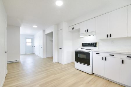 3355#6 rue Houde Trois-Rivières Quartier Universitaire - Photo 3