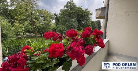 Bielsko-Biała, - Фото 3