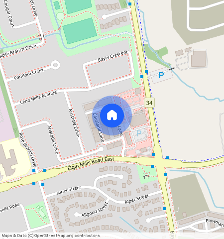 95 Causland Lane, Richmond Hill