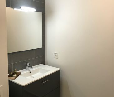 Location Appartement 1 pièce 29m² - Photo 4