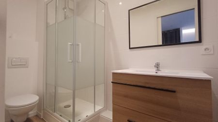 location Appartement T1 DE 24.78m² À FONSORBES - Photo 5