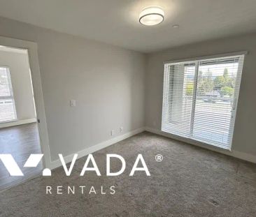 1 Bedroom Apartment For Rent in Maple Ridge - Photo 3