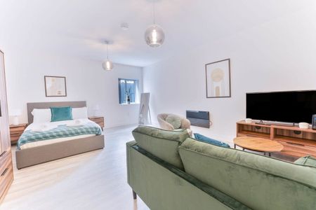 1 Bed Flat, Cromer Road, B12 - Photo 5