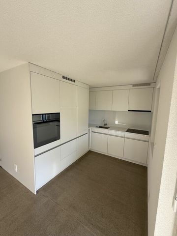 Moderne 2-Zi-Wohnung nahe der Stadt Luzern mit Gartensitzplatz - Photo 3