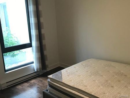 Unit 231: Entire unit - Photo 4