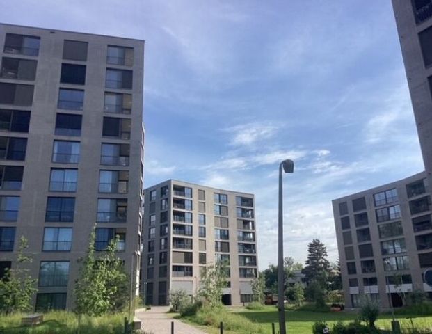 High-end modern apartment in a new, high-quality Allverte building in Allschwil - Photo 1