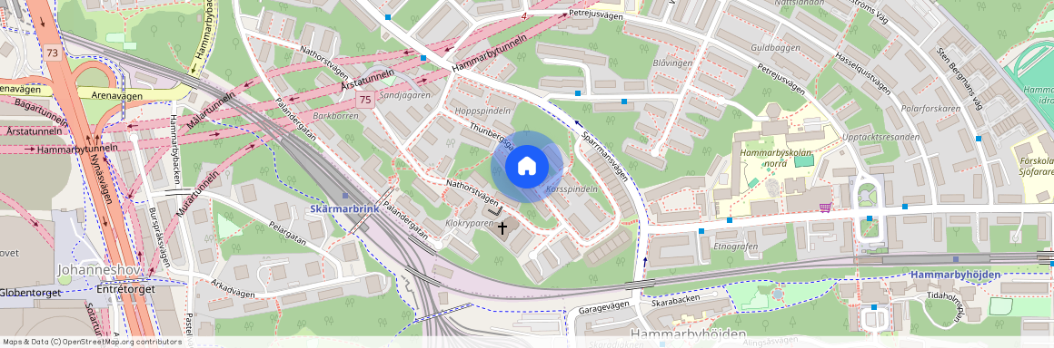 Thunbergsgatan, Johanneshov