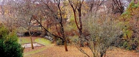 Wohnglück sucht nette Mieter - Zweiraumwohnung mit Duschbad am Stresemannplatz - Foto 1