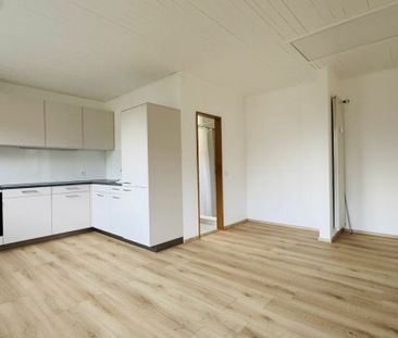 Gepflegte 2.5-Zimmer-Maisonette mit Garten & eigener WM/TU im 2-Fam... - Photo 1