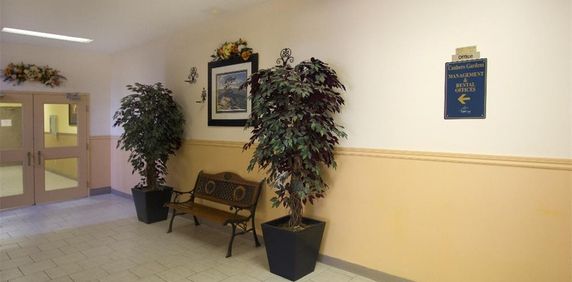 Canboro Garden - Photo 2