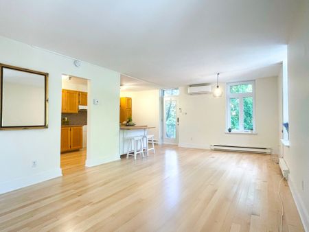 Appartement à louer - Montréal (Mercier/Hochelaga-Maisonneuve) (Hochelaga-Maisonneuve) - Photo 2