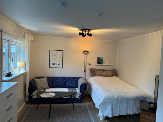 Hjortnäsvägen, Leksand - Photo 1